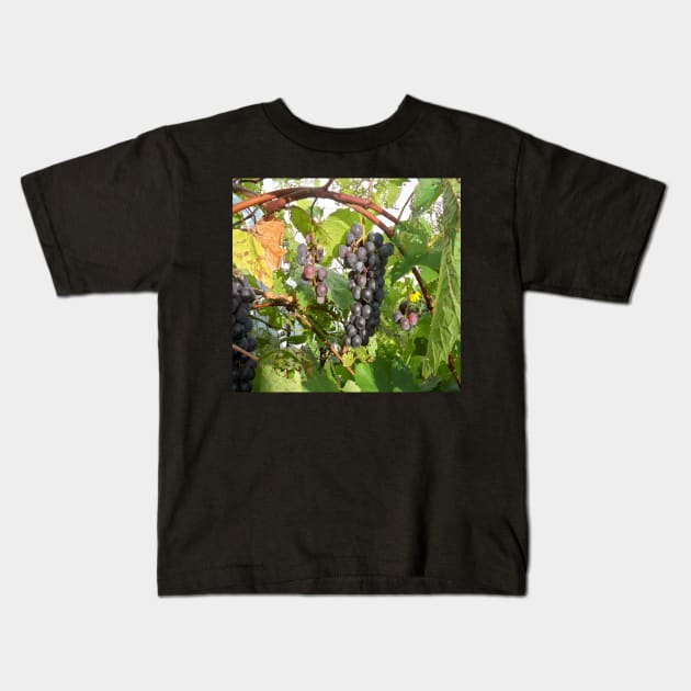 Grape Kids T-Shirt by Jujucreation